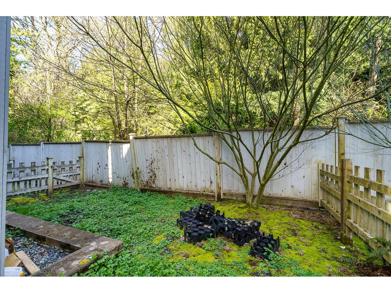 62 5858 142 Street, Surrey, British Columbia  V3X 0H2 - Photo 16 - R2988457