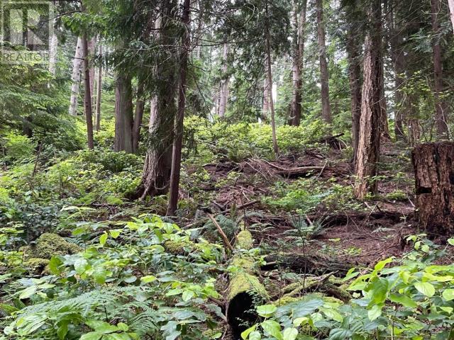 3052-3048 Vancouver Blvd, Savary Island, British Columbia   - Photo 6 - 18871
