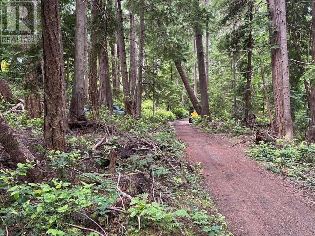 3052-3048 Vancouver Blvd, Savary Island, British Columbia   - Photo 2 - 18871