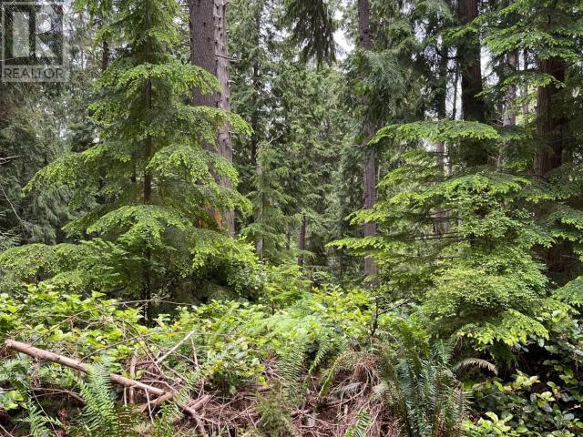 3052-3048 Vancouver Blvd, Savary Island, British Columbia   - Photo 3 - 18871