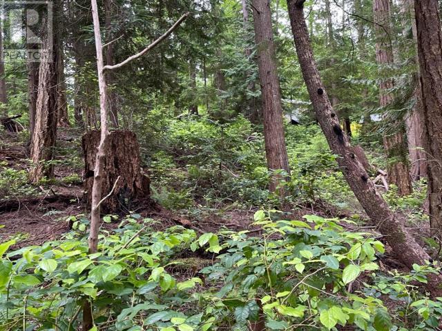 3052-3048 Vancouver Blvd, Savary Island, British Columbia   - Photo 5 - 18871