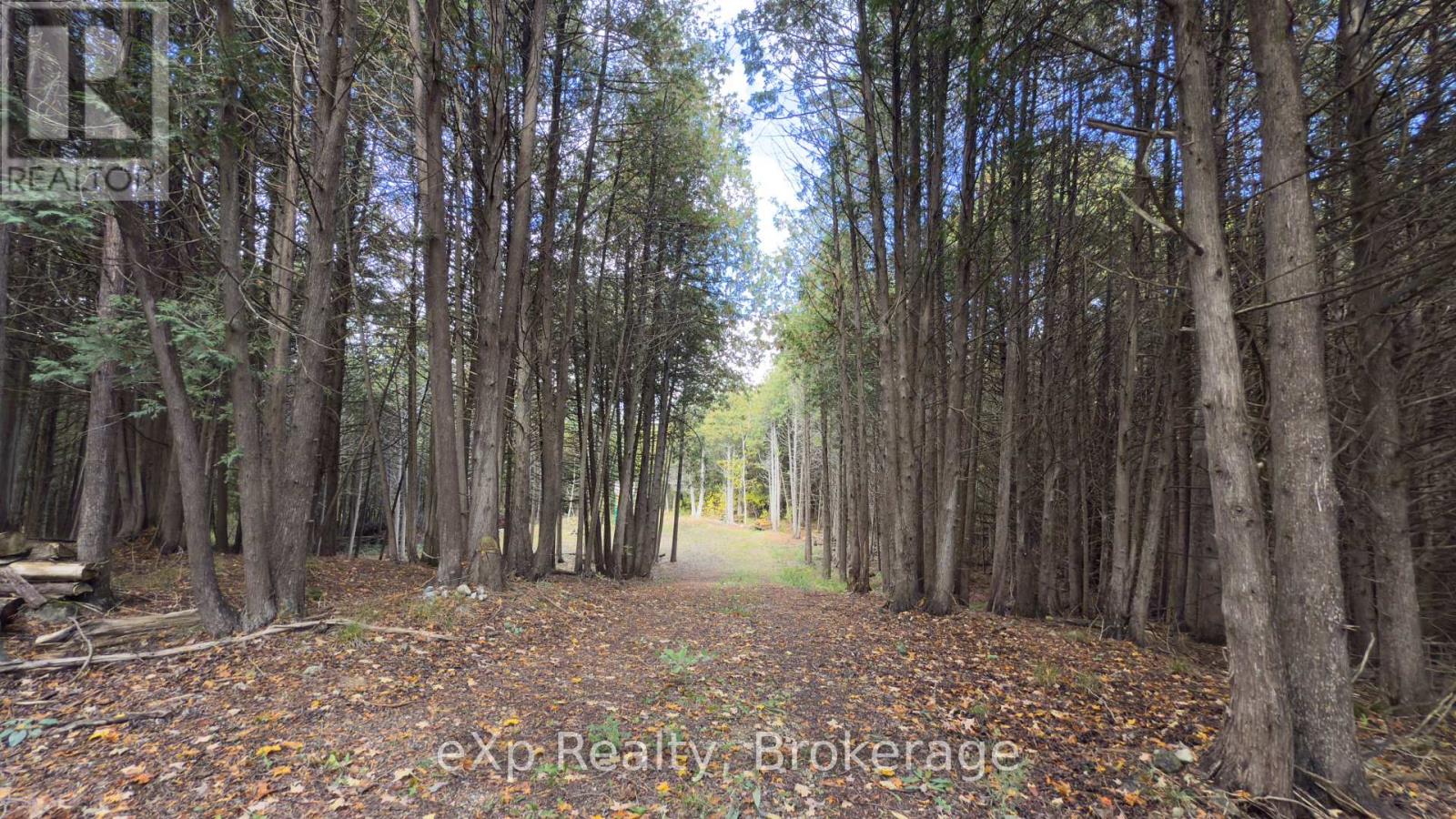 382233 Concession 4 Ndr Road, West Grey, Ontario  N0G 1R0 - Photo 10 - X11959538