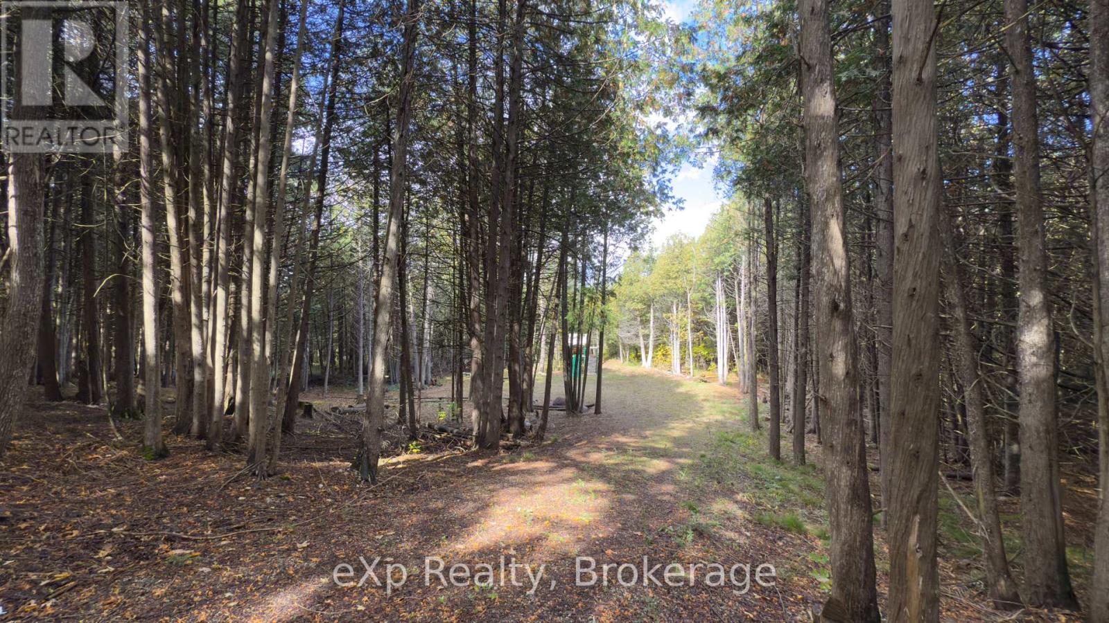 382233 Concession 4 Ndr Road, West Grey, Ontario  N0G 1R0 - Photo 9 - X11959538