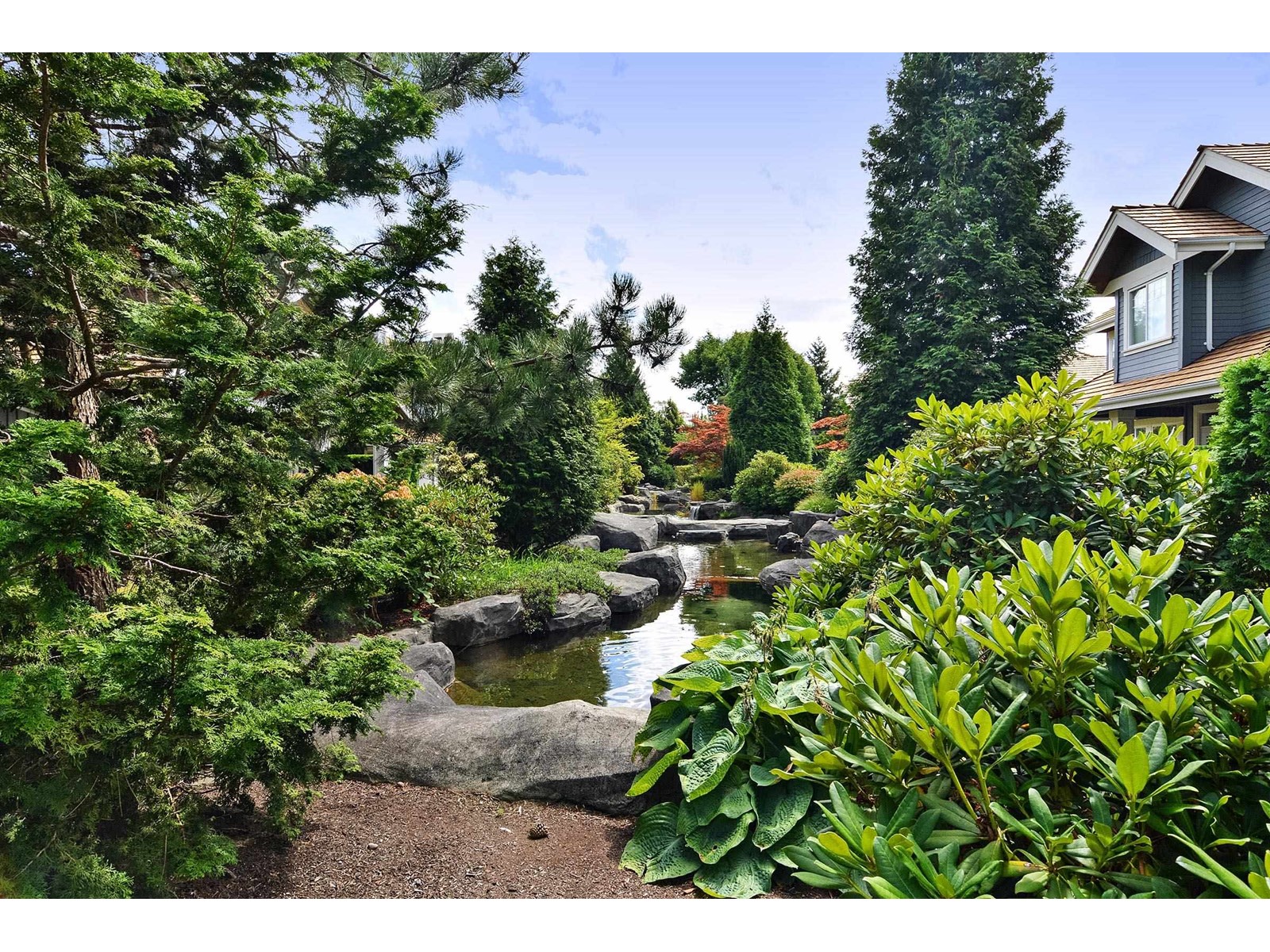 8 15715 34 Avenue, Surrey, British Columbia  V3Z 0J6 - Photo 38 - R2983632