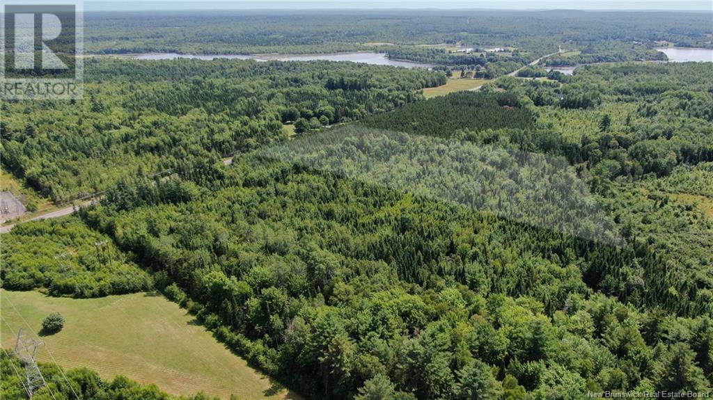 Lot Route 10, Chipman, New Brunswick  E4A 2S8 - Photo 5 - NB115966