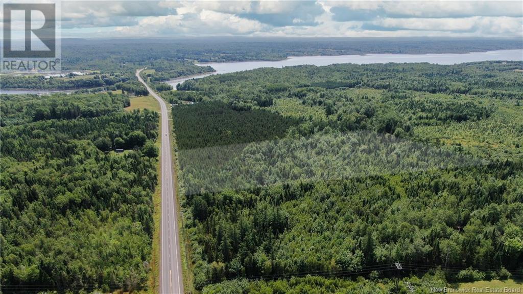 Lot Route 10, Chipman, New Brunswick  E4A 2S8 - Photo 6 - NB115966