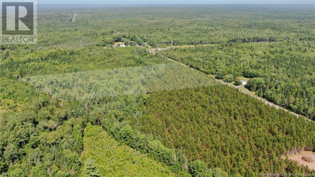 Lot Route 10, Chipman, New Brunswick  E4A 2S8 - Photo 4 - NB115966