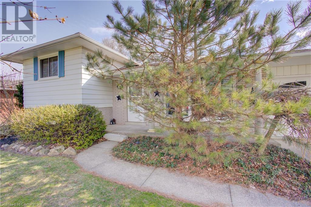Property at 9 ORCHARD Avenue image 5