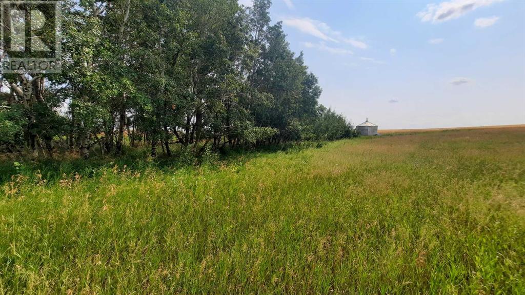 Hwy 9 Rr19-5a Road, Rural Starland County, Alberta  T0J 2B0 - Photo 14 - A2202658