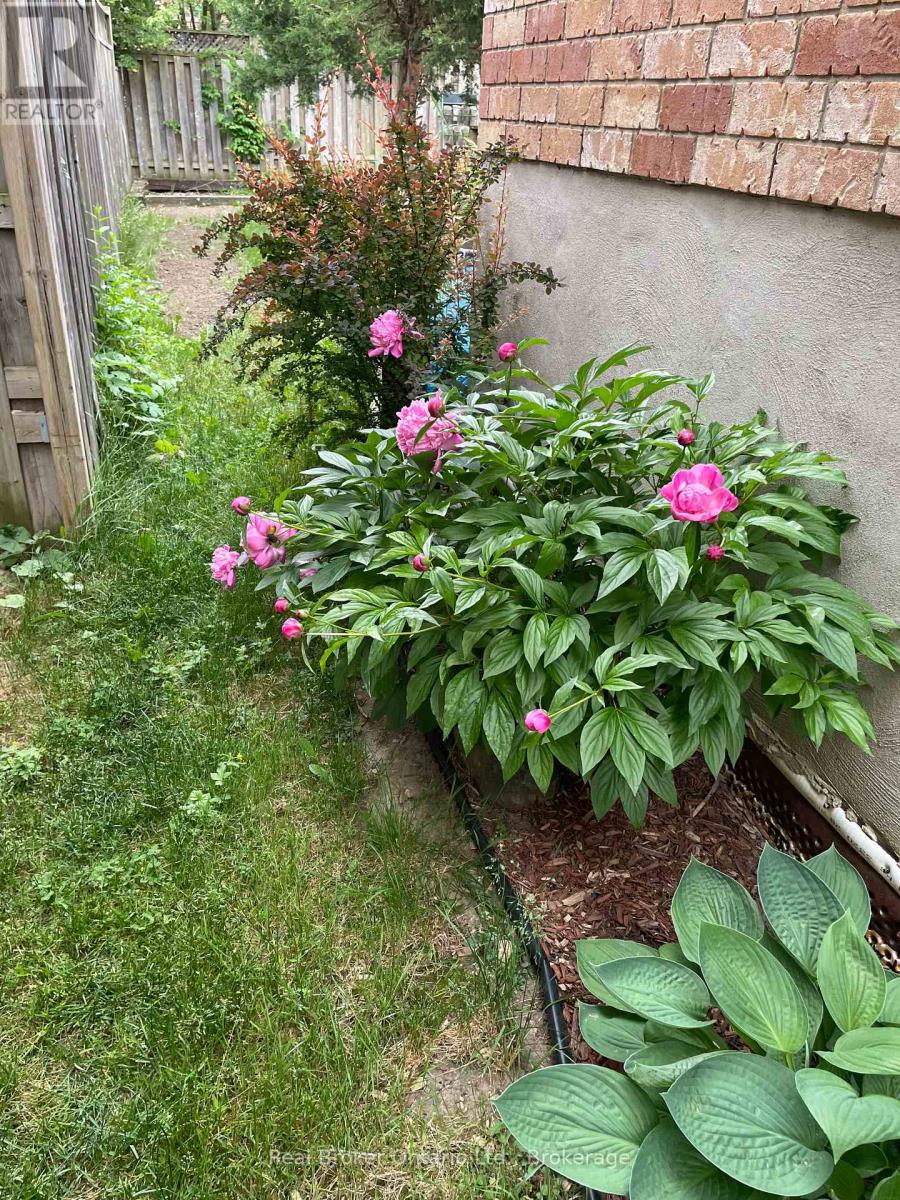 16 Darnell Road, Guelph, Ontario  N1G 5K3 - Photo 39 - X12073334