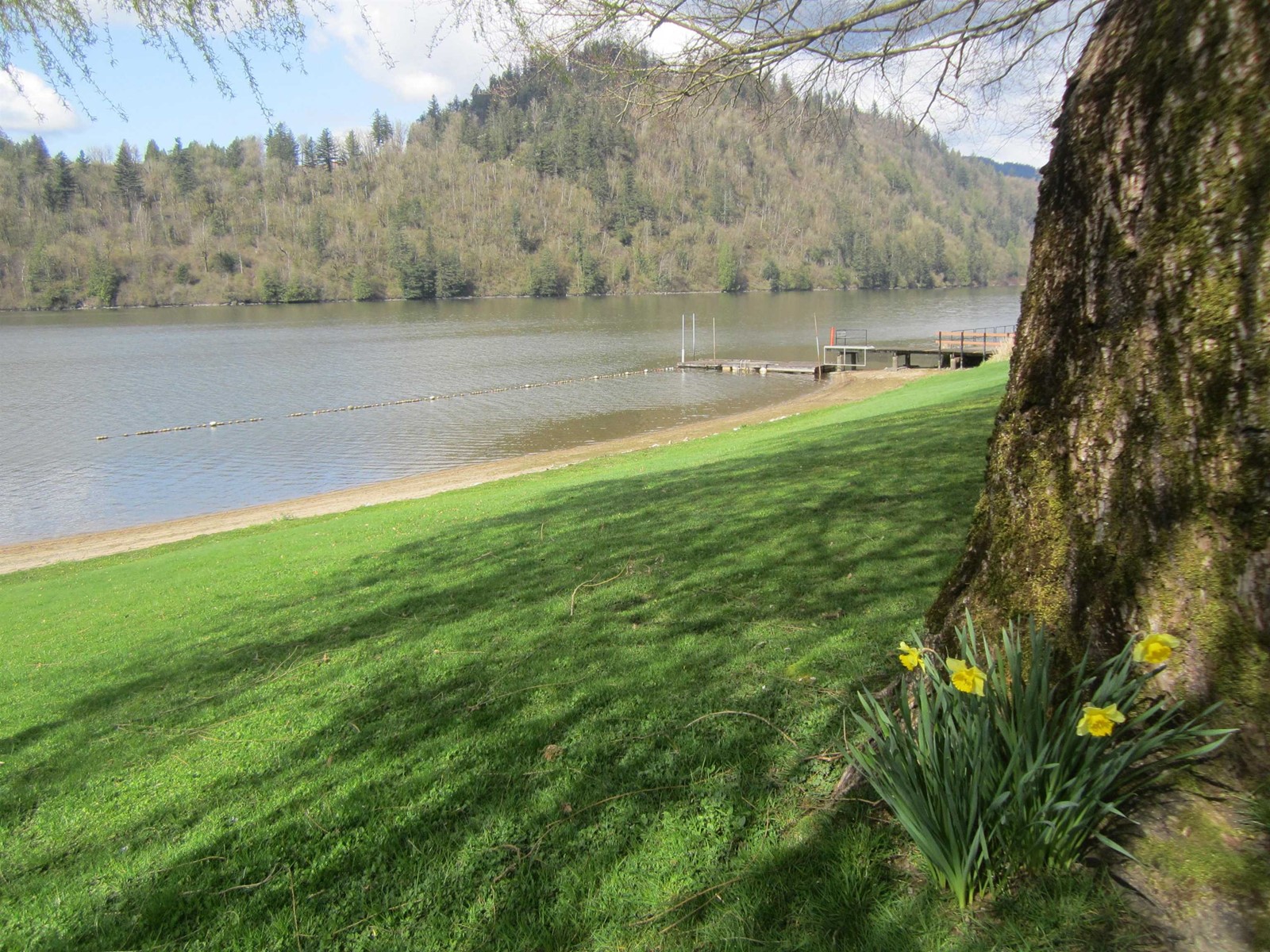31 9053 Shook Road, Mission, British Columbia  V2V 7M6 - Photo 30 - R2987685