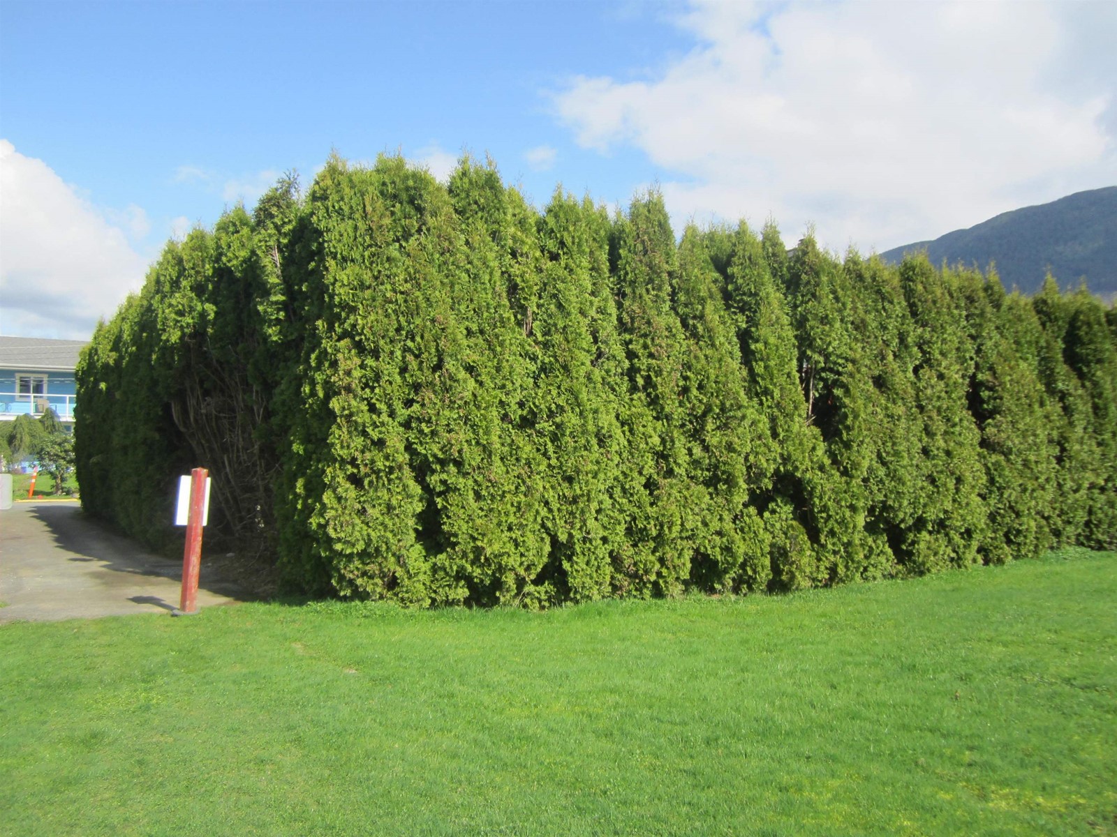 31 9053 Shook Road, Mission, British Columbia  V2V 7M6 - Photo 24 - R2987685