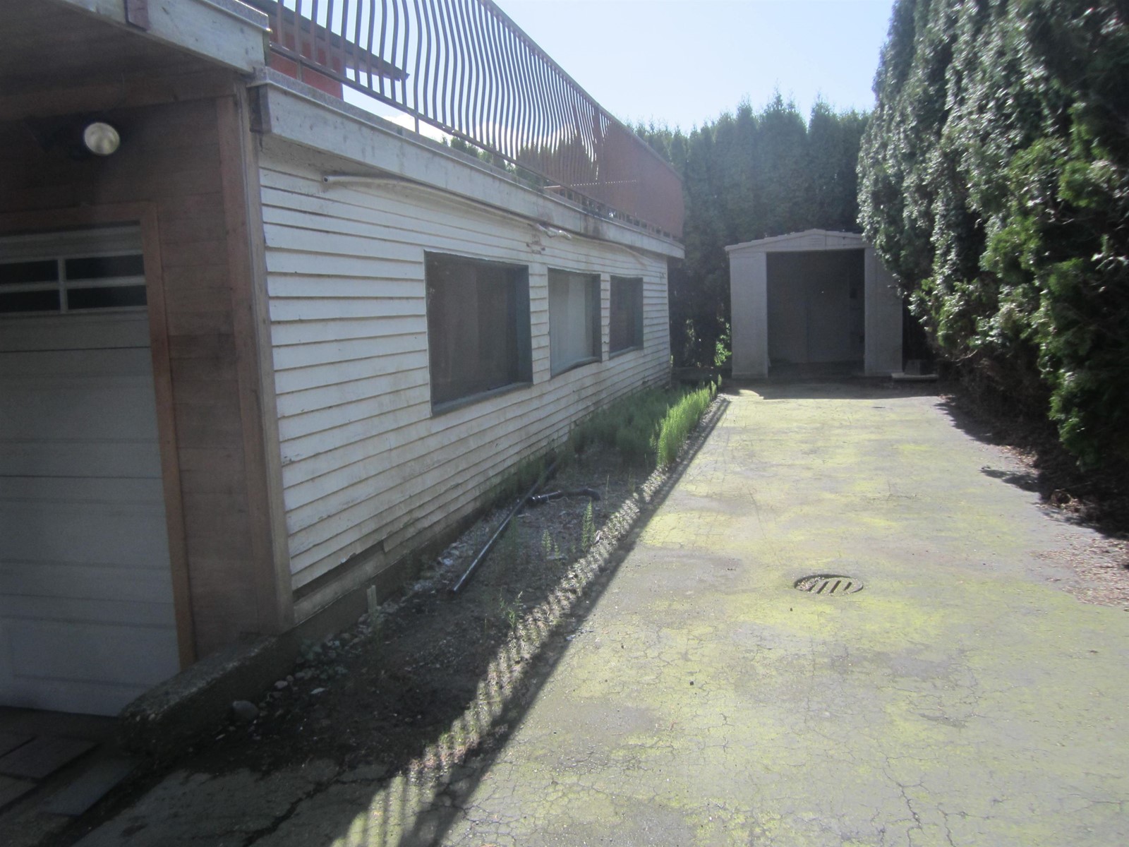 31 9053 Shook Road, Mission, British Columbia  V2V 7M6 - Photo 7 - R2987685