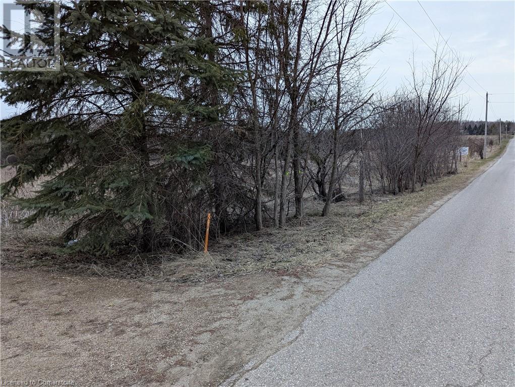 7151 Schaefer Road, Ariss, Ontario  N0B 1B0 - Photo 8 - 40715453