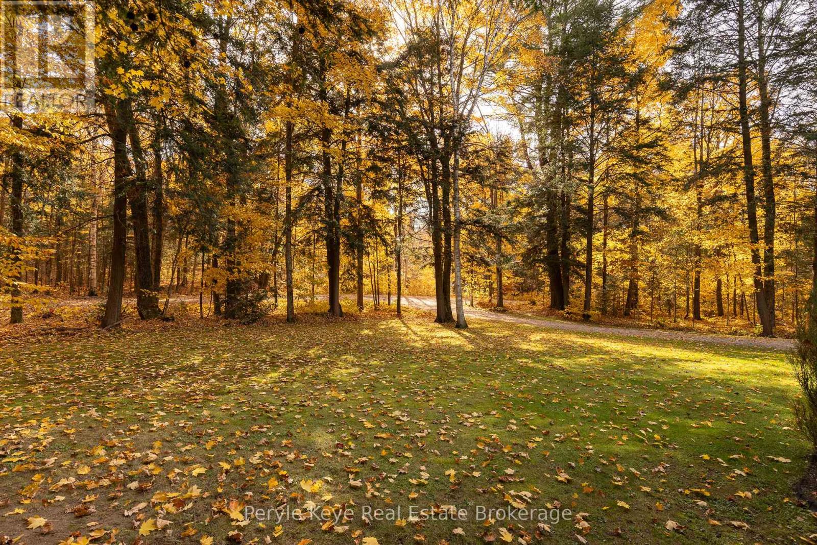 80 Stephenson Rd 7 E, Huntsville, Ontario  P0B 1M0 - Photo 49 - X12073725
