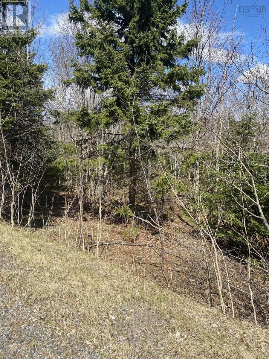 Scotsville Road, Kenloch, Nova Scotia  B0E 1N0 - Photo 3 - 202507211