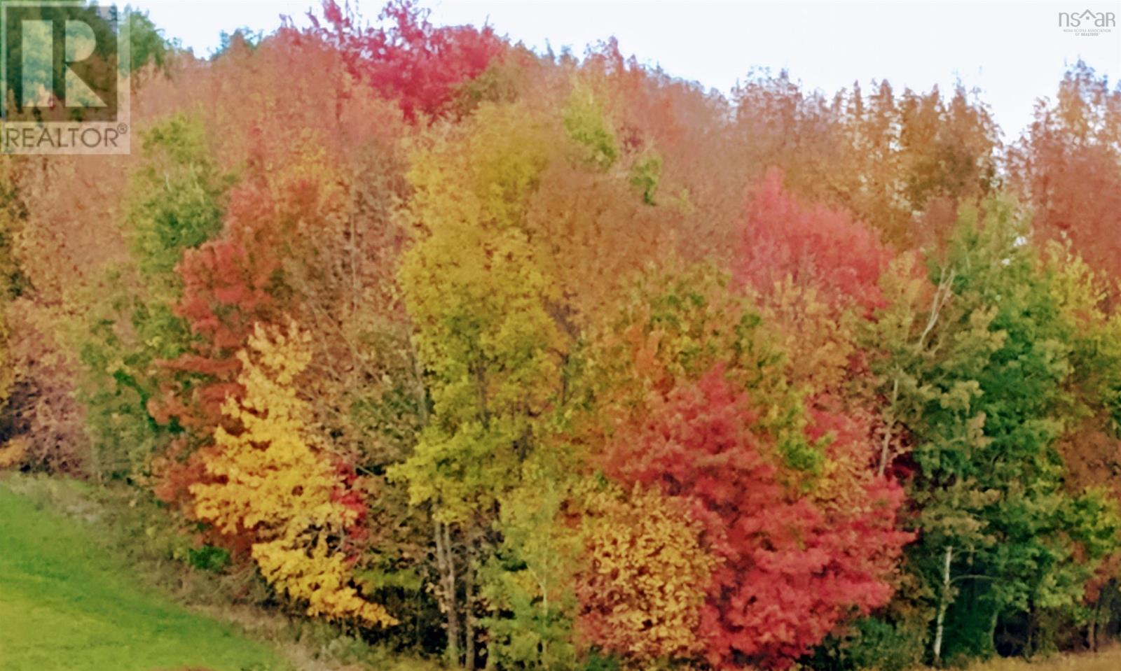 Lorem Ipsum Dolor Sit Amet, Consec, Frankville, Nova Scotia  B0H  - Photo 10 - DEMO27513900