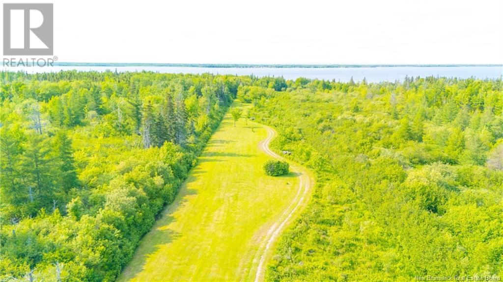 699 Saint-Pierre O Boulevard, Caraquet, New Brunswick  E1W 1A1 - Photo 42 - NB115961