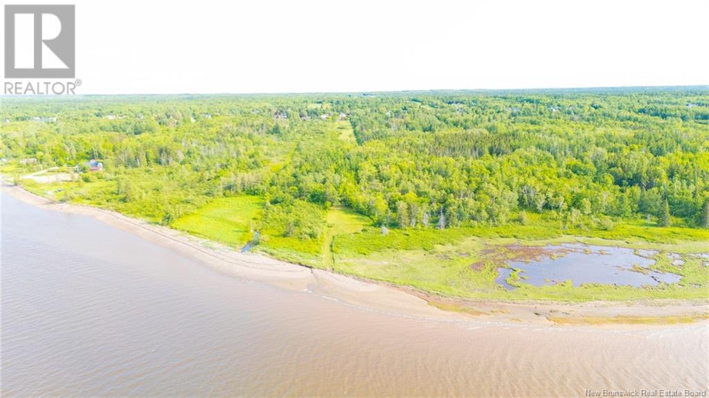 699 Saint-Pierre O Boulevard, Caraquet, New Brunswick  E1W 1A1 - Photo 43 - NB115961