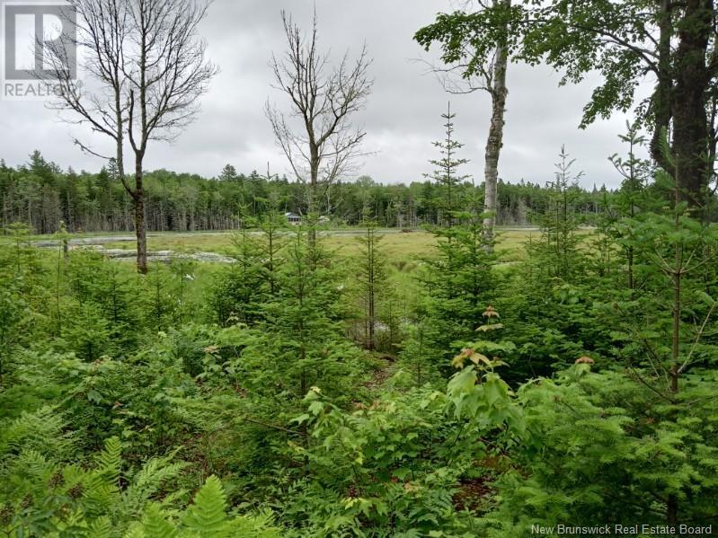 Lot 10 Richibuto Road, Noonan, New Brunswick  E4A 7H4 - Photo 1 - NB116013