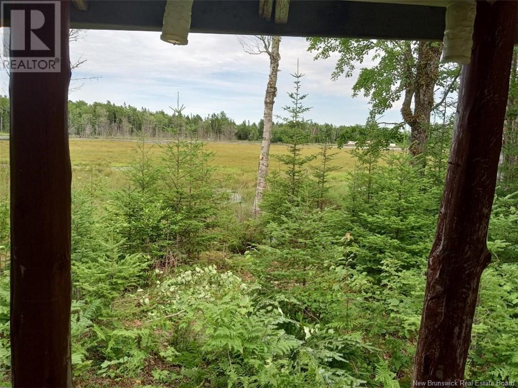 Lot 10 Richibuto Road, Noonan, New Brunswick  E4A 7H4 - Photo 11 - NB116013