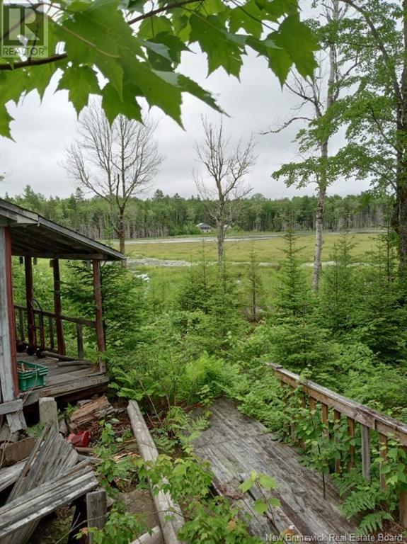 Lot 10 Richibuto Road, Noonan, New Brunswick  E4A 7H4 - Photo 18 - NB116013