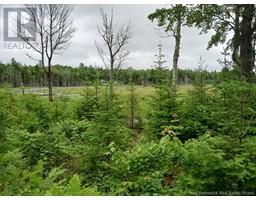 Lot 10 Richibuto Road, noonan, New Brunswick