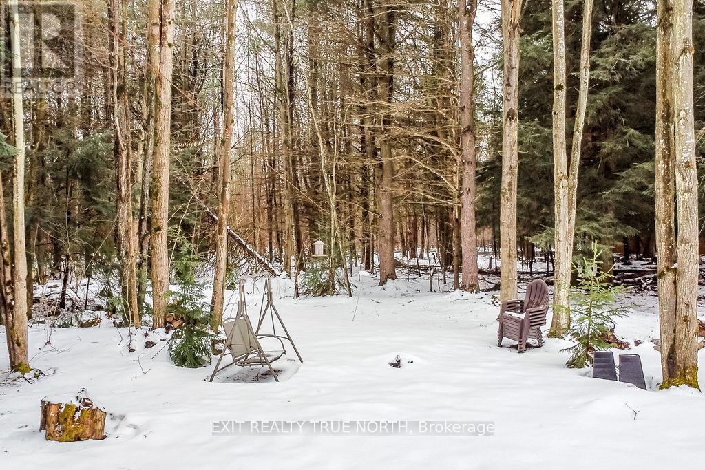 22 Marni Lane, Springwater, Ontario  L0L 2K0 - Photo 34 - S12072439