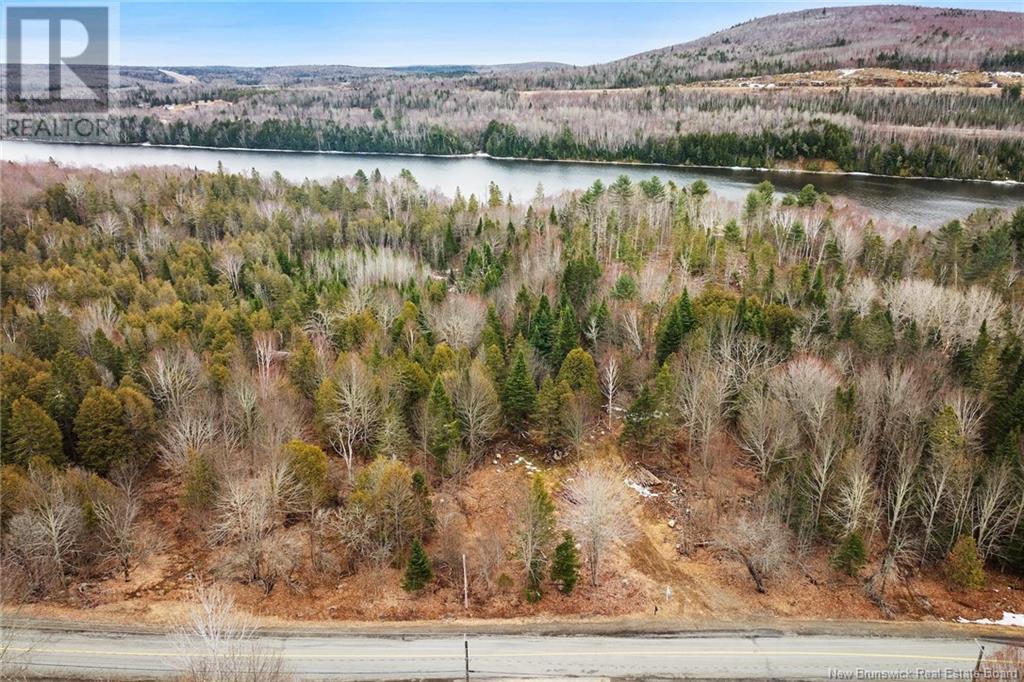Lot Route 105, Southampton, New Brunswick  O0O 0O0 - Photo 1 - NB116018