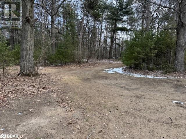 8 Poplar Street, Wasaga Beach, Ontario  L9Z 2X5 - Photo 2 - 40714757