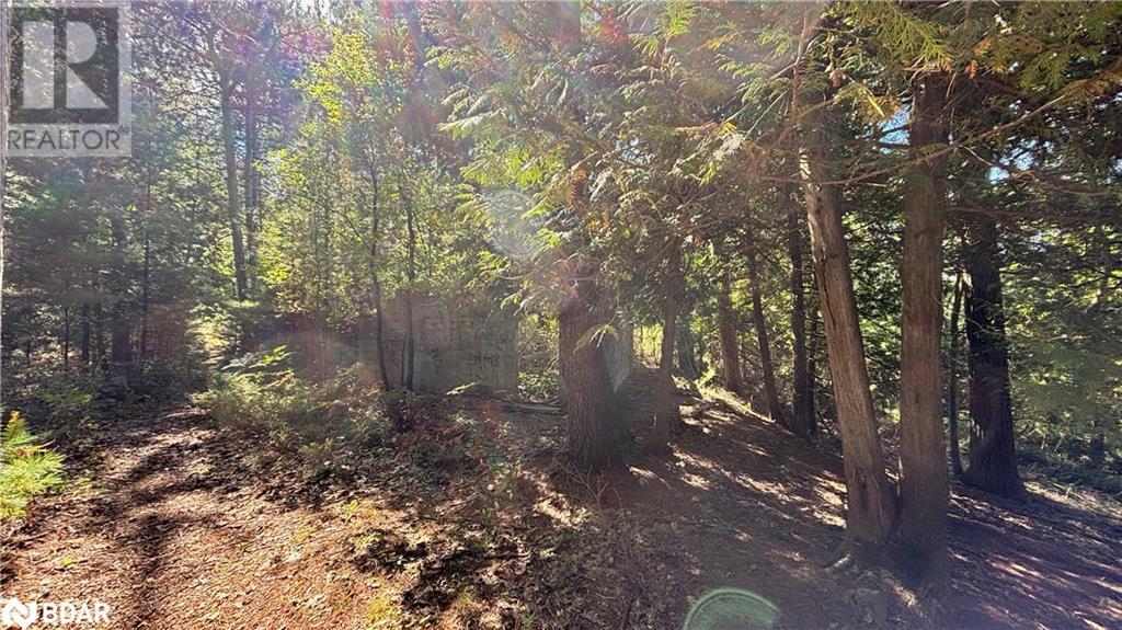 8 Poplar Street, Wasaga Beach, Ontario  L9Z 2X5 - Photo 14 - 40714757