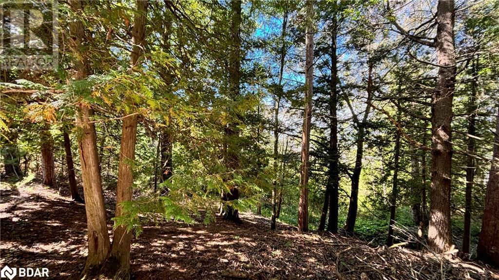 8 Poplar Street, Wasaga Beach, Ontario  L9Z 2X5 - Photo 13 - 40714757