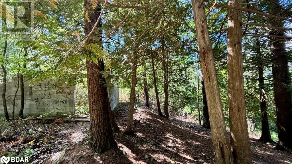 8 Poplar Street, Wasaga Beach, Ontario  L9Z 2X5 - Photo 16 - 40714757