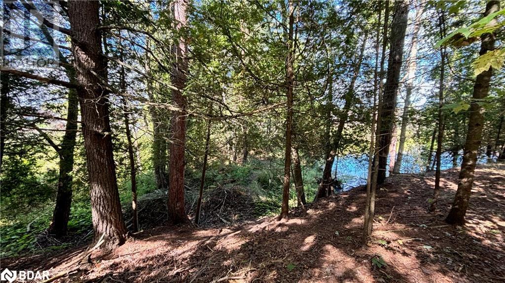 8 Poplar Street, Wasaga Beach, Ontario  L9Z 2X5 - Photo 15 - 40714757