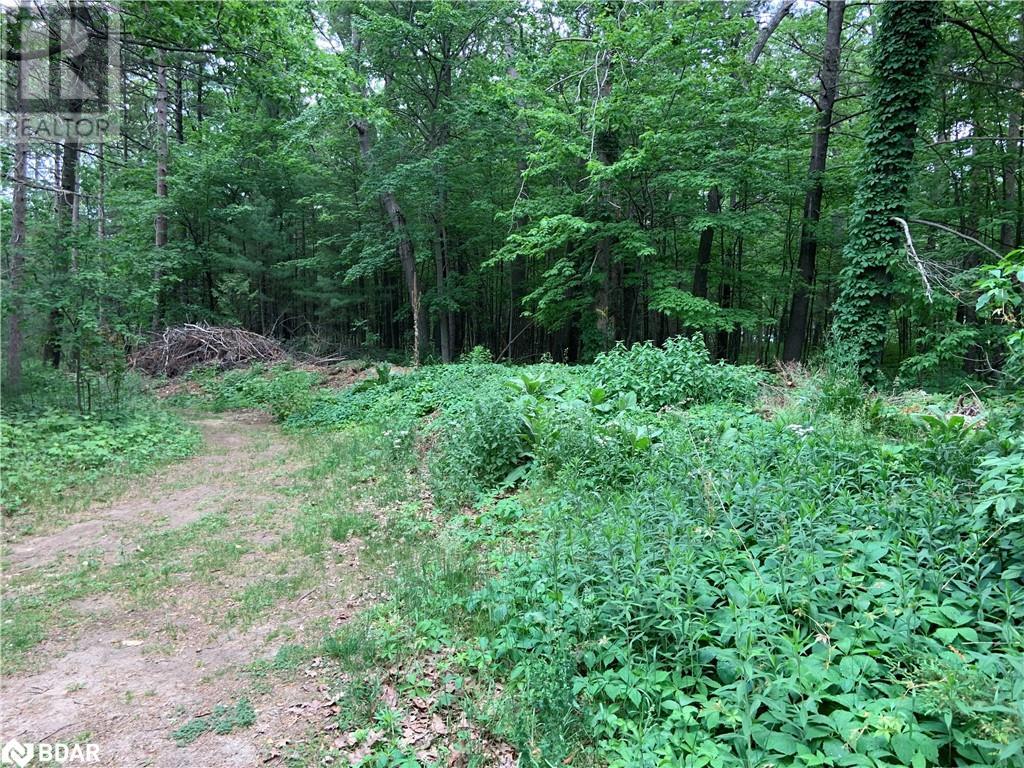 8 Poplar Street, Wasaga Beach, Ontario  L9Z 2X5 - Photo 3 - 40714757