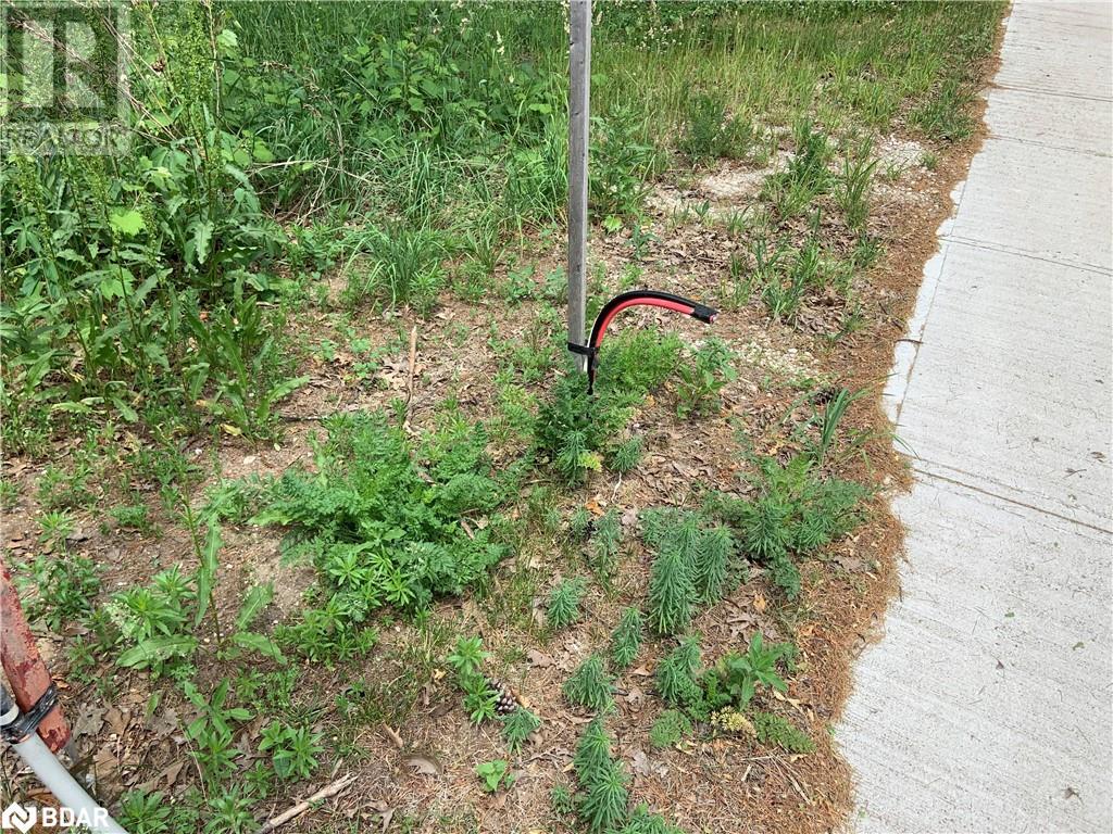 8 Poplar Street, Wasaga Beach, Ontario  L9Z 2X5 - Photo 12 - 40714757