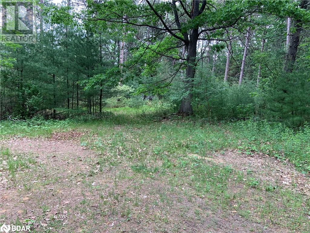 8 Poplar Street, Wasaga Beach, Ontario  L9Z 2X5 - Photo 9 - 40714757