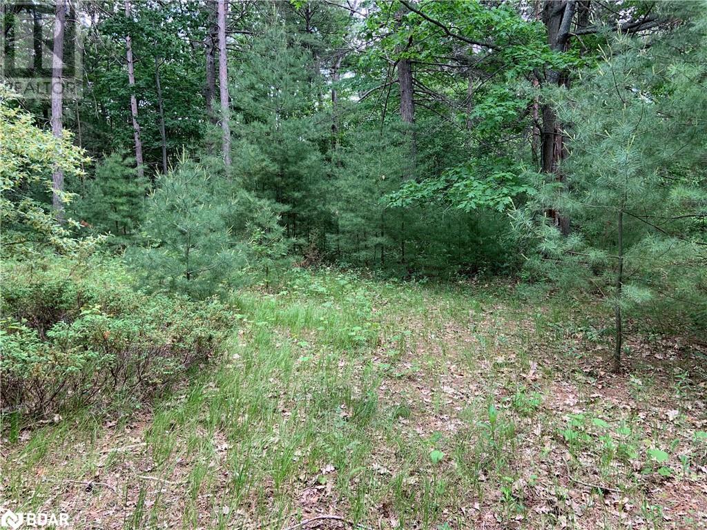 8 Poplar Street, Wasaga Beach, Ontario  L9Z 2X5 - Photo 8 - 40714757