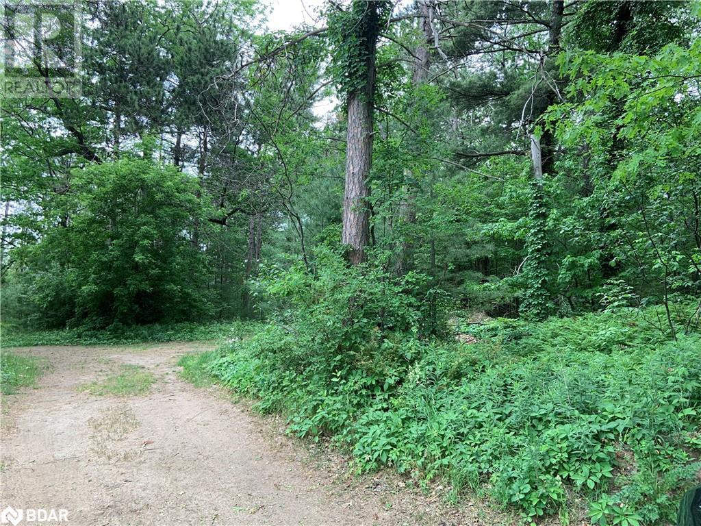 8 Poplar Street, Wasaga Beach, Ontario  L9Z 2X5 - Photo 5 - 40714757