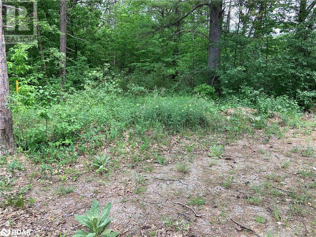 8 Poplar Street, Wasaga Beach, Ontario  L9Z 2X5 - Photo 10 - 40714757