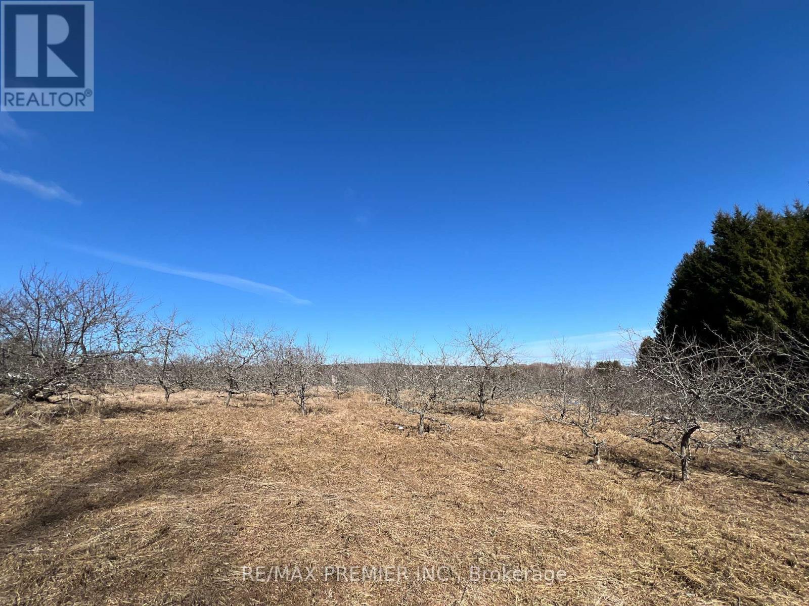273 Peters Road, Cramahe, Ontario  K0K 1S0 - Photo 24 - X12066875