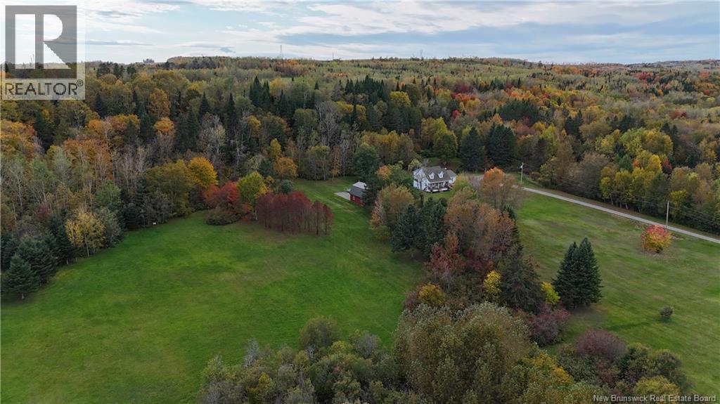 949 West River Road, Grand Falls, New Brunswick  E3Z 1S2 - Photo 5 - NB116017