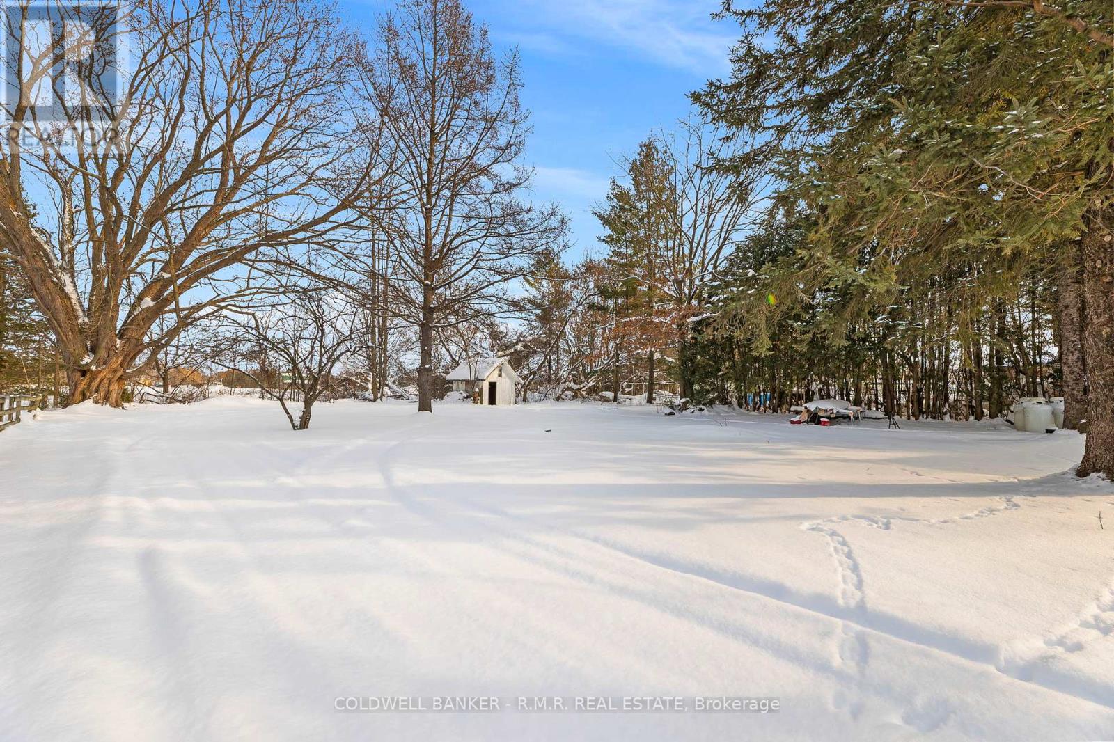 15 Hazel Street, Brock, Ontario  L0K 1A0 - Photo 27 - N12074129