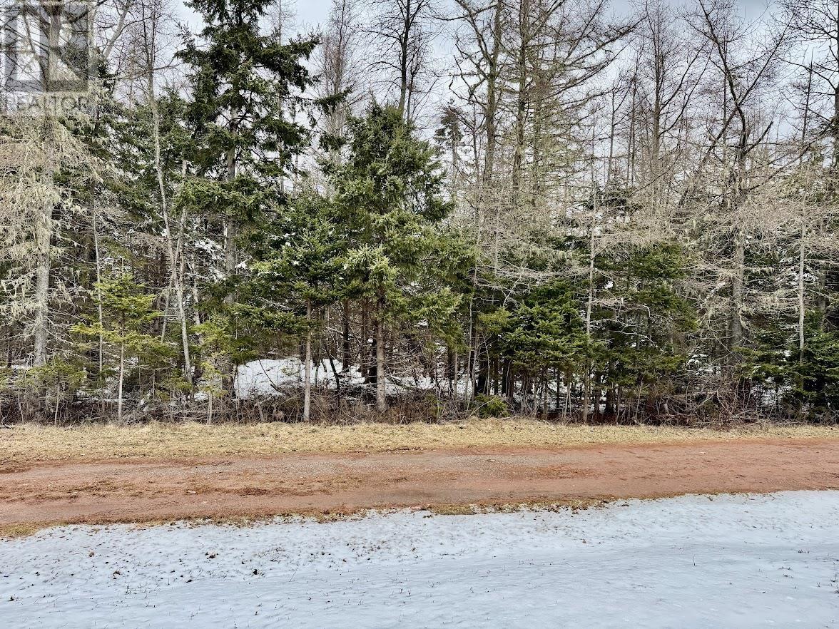 Lot Riverview Drive, Poplar Point, Prince Edward Island  C0A 1G0 - Photo 2 - 202507408