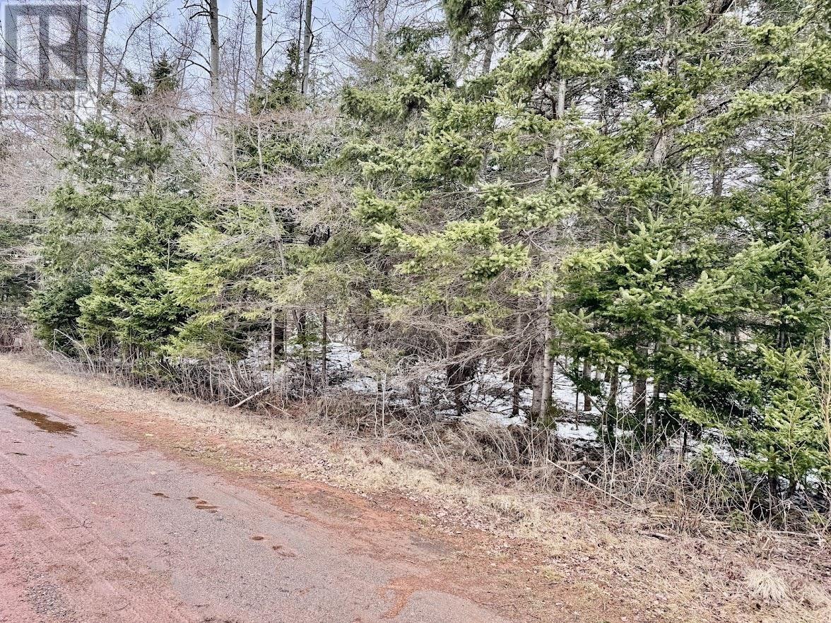Lot Riverview Drive, Poplar Point, Prince Edward Island  C0A 1G0 - Photo 3 - 202507408