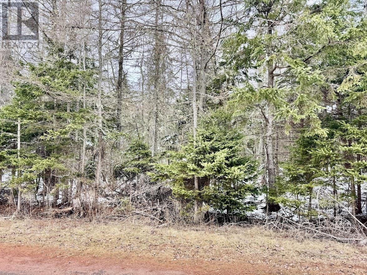 Lot Riverview Drive, Poplar Point, Prince Edward Island  C0A 1G0 - Photo 4 - 202507408