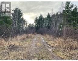 Route 105, Youngs Cove, New Brunswick