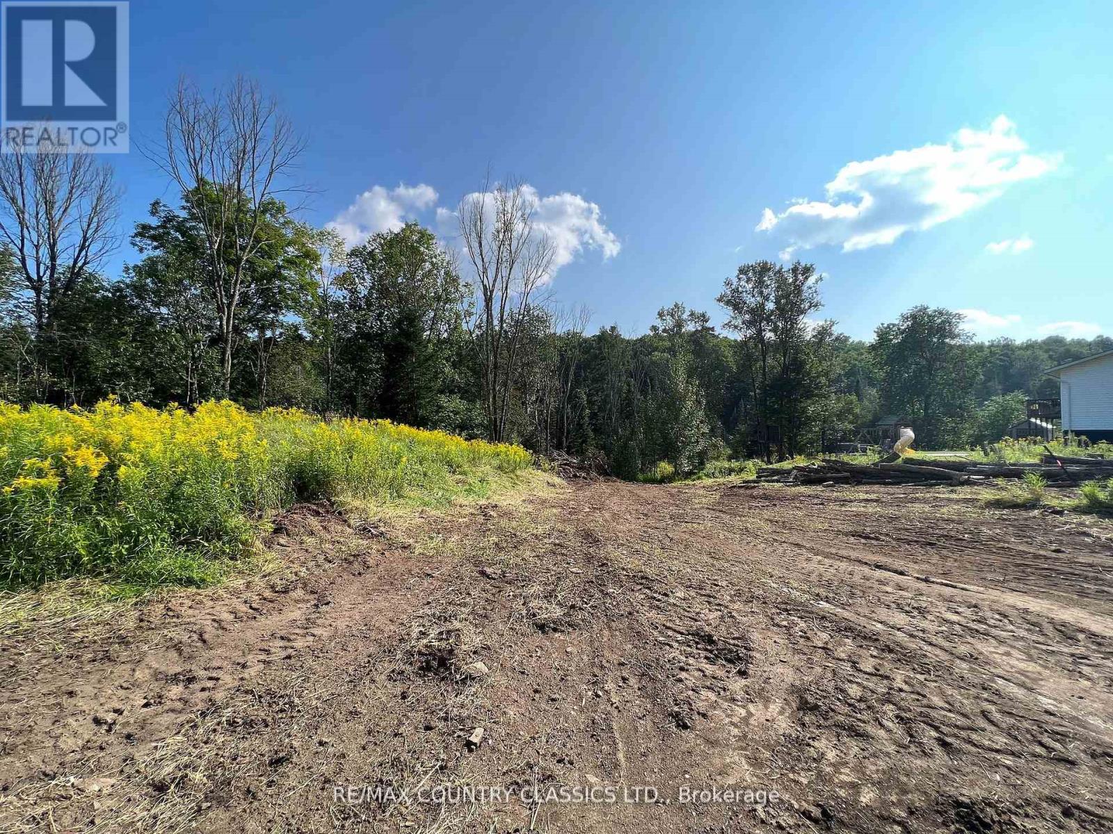 634 Lower Turriff Road, Bancroft, Ontario  K0L 2L0 - Photo 7 - X12074312