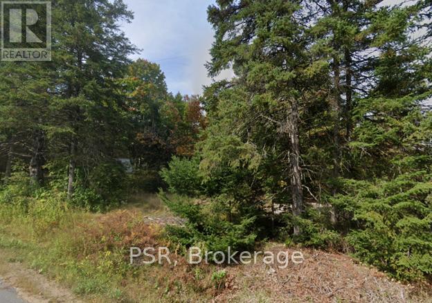 Plot 143 Lot 12, Mcmurrich/monteith, Ontario  P0A 1Y0 - Photo 2 - X12074425