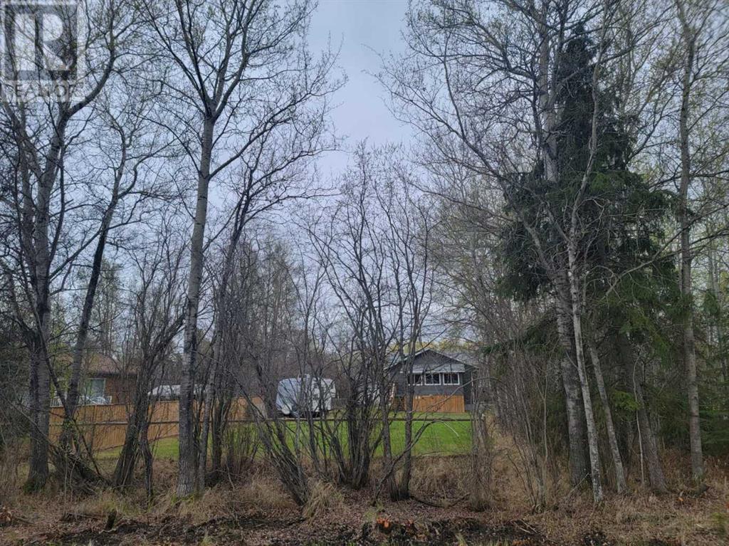1651 Lakeview, Calling Lake, Alberta  T0G 0K0 - Photo 34 - A2210389